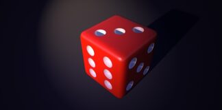 Kto ustala numery porządkowe nieruchomości?