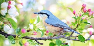 Co to jest mały obieg chłodzenia?