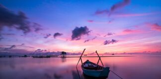 Co oznacza kolor opaski?