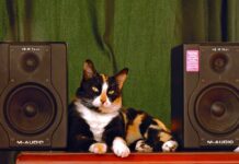 Co daje deflektor maski?