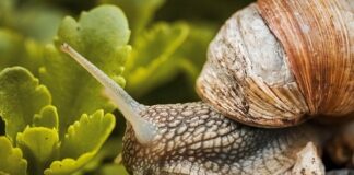 Ile kosztuje obudowa do wanny?