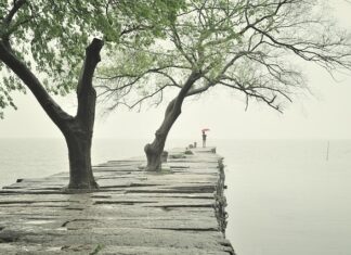 Ile podsypki pod krawężniki?