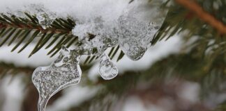 Jak się pozbyć pęcherzyków powietrza?