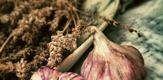 Jak długo trzymać czosnek w uchu?