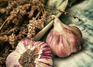 Jak długo trzymać czosnek w uchu? Jak długo trzymać czosnek w uchu?