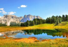 Jaki sekator Gardena? Jaki sekator Gardena?