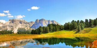 Jaki sekator Gardena?