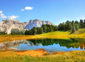 Jaki sekator Gardena? Jaki sekator Gardena?