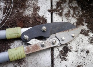 Jaki sekator do traw?