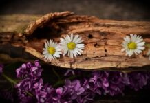 Czy można jeździć z Pękniętym resorem? Czy można jeździć z Pękniętym resorem?