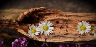 Czy można jeździć z Pękniętym resorem?