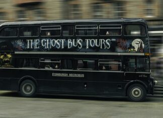 Jakie obrzeża do trawników? Jakie obrzeża do trawników?