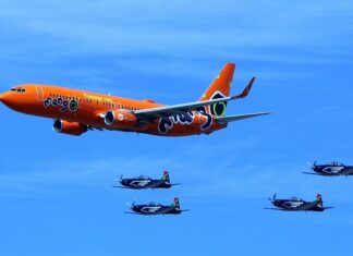 Co oznacza SB buty? Co oznacza SB buty?