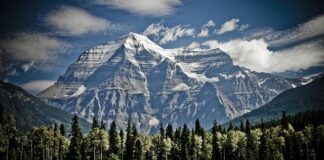 Jak zamontować numer na dom?