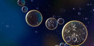 Ile ml oleju na 5 litrów benzyny?