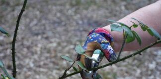 Jak przycinanie trawy przy krawężniku?