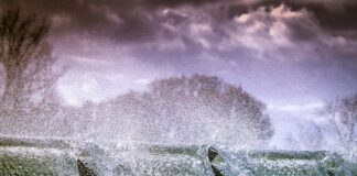 Czy można pryskać w południe?