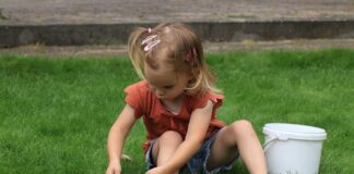 Czym oddzielić trawę od Kory?