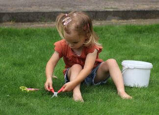 Czym oddzielić trawę od Kory? Czym oddzielić trawę od Kory?