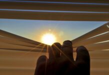 Co zamiast rolet w oknach? Co zamiast rolet w oknach?