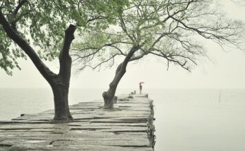 Ile waży Krawężnik 15x30x100?