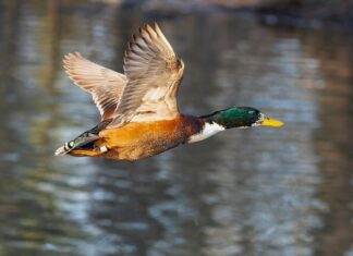 Jaka wanna najlepsza do małej łazienki?