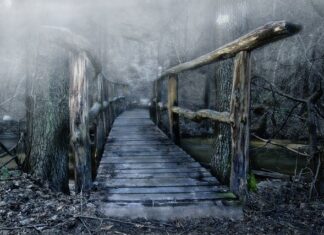 Co to jest mostek północy i południowy?