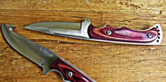 Jaką literą piszemy Finka?