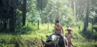 Kiedy rolnicy robią opryski?