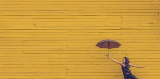 Co oznacza żółte tulipany?