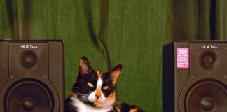 Jak działa deflektor?