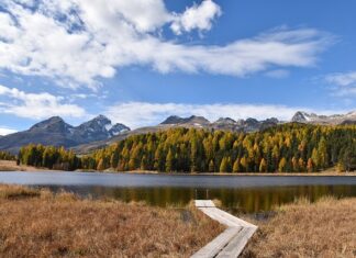 Czy Staza taktyczna jest jednorazowa?