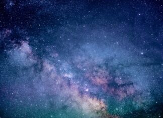 Ile kosztuje badanie opryskiwacza? Ile kosztuje badanie opryskiwacza?