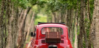 Z kim połączył się Fiat?