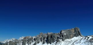 Co najpierw nawóz czy oprysk?