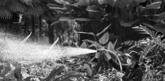 Jaka kara za brak przeglądu opryskiwacza?