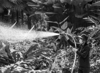 Jaka kara za brak przeglądu opryskiwacza? Jaka kara za brak przeglądu opryskiwacza?