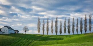 Co oznaczają kolory opasek w hotelach all inclusive?