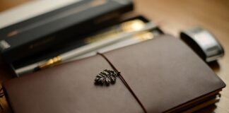 Gdzie można kupić Organizer do samochodu?