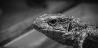 Jak monitorować temperaturę komputera?