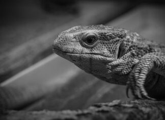 Jak monitorować temperaturę komputera? Jak monitorować temperaturę komputera?