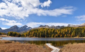 Jak długo może być założona Staza taktyczna?