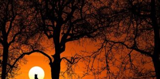 Jak zrobić podświetlany numer domu?