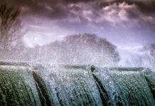 W jakich godzinach nie można pryskać? W jakich godzinach nie można pryskać?