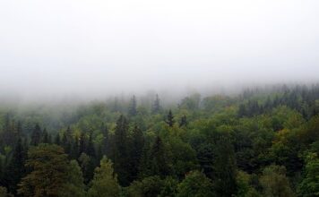 Jak zasłonić okna w samochodzie?