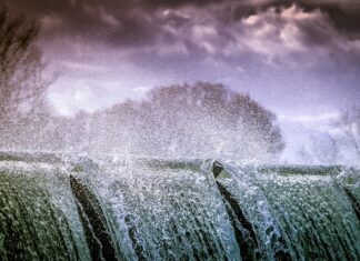 Czy można Pryskać mokre chwasty?