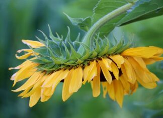 Co można powiesić na ścianie?