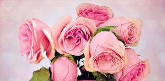 Czym się różni iCar2 od iCar3?