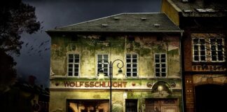 Dlaczego nie można mieć przyciemnionych szyb?