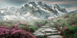 Jak zabezpieczyć szybę przed kamieniami?